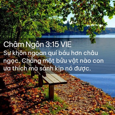 Picture 02 - Châm Ngôn 3:15 VIE - Sự khôn ngoan quí báu hơn châu ngọc, - Bible Verse Picture