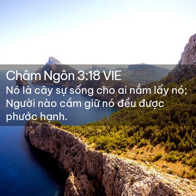 Picture 02 - Châm Ngôn 3:18 VIE - Nó là cây sự sống cho ai nắm lấy nó; - Bible Verse Picture