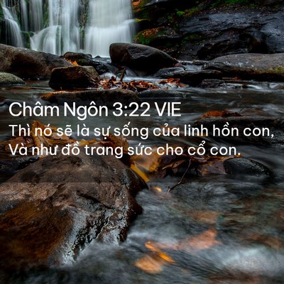 Picture 02 - Châm Ngôn 3:22 VIE - Thì nó sẽ là sự sống của linh hồn - Bible Verse Picture