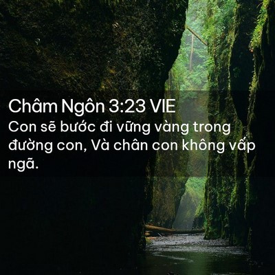 Picture 02 - Châm Ngôn 3:23 VIE - Con sẽ bước đi vững vàng trong đường - Bible Verse Picture