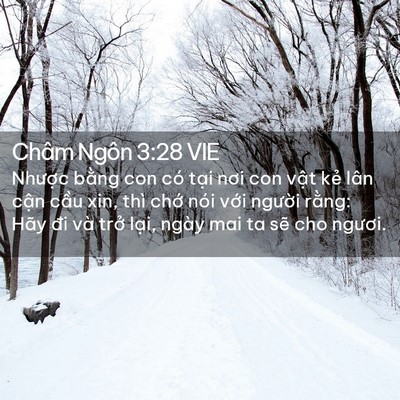 Picture 02 - Châm Ngôn 3:28 VIE - Nhược bằng con có tại nơi con vật kẻ - Bible Verse Picture