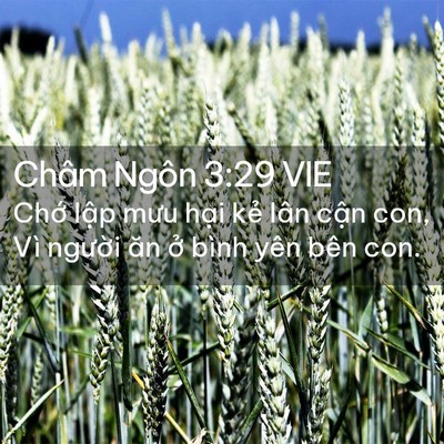 Picture 02 - Châm Ngôn 3:29 VIE - Chớ lập mưu hại kẻ lân cận con, Vì - Bible Verse Picture