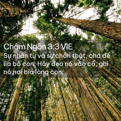 Picture 02 - Châm Ngôn 3:3 VIE - Sự nhân từ và sự chân thật, chớ - Bible Verse Picture
