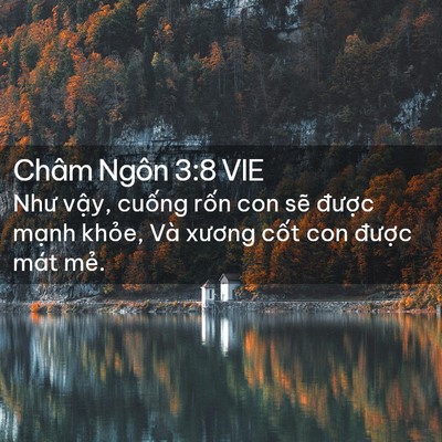 Picture 02 - Châm Ngôn 3:8 VIE - Như vậy, cuống rốn con sẽ được - Bible Verse Picture