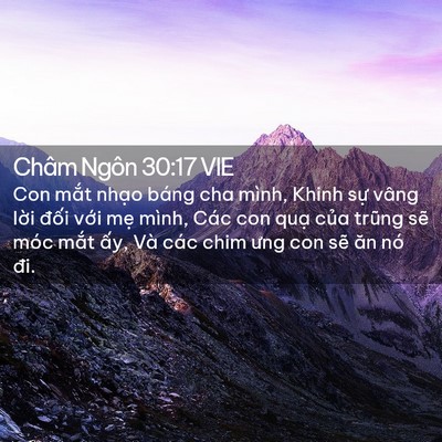 Picture 02 - Châm Ngôn 30:17 VIE - Con mắt nhạo báng cha mình, Khinh sự - Bible Verse Picture