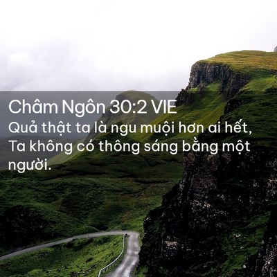 Picture 02 - Châm Ngôn 30:2 VIE - Quả thật ta là ngu muội hơn ai hết, Ta - Bible Verse Picture