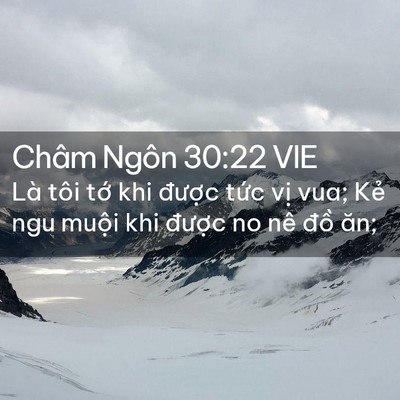Picture 02 - Châm Ngôn 30:22 VIE - Là tôi tớ khi được tức vị vua; Kẻ - Bible Verse Picture
