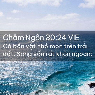Picture 02 - Châm Ngôn 30:24 VIE - Có bốn vật nhỏ mọn trên trái đất, - Bible Verse Picture