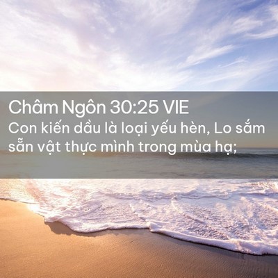 Picture 02 - Châm Ngôn 30:25 VIE - Con kiến dầu là loại yếu hèn, Lo sắm - Bible Verse Picture