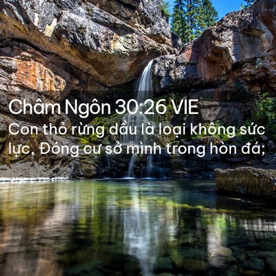 Picture 02 - Châm Ngôn 30:26 VIE - Con thỏ rừng dầu là loại không sức - Bible Verse Picture