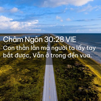 Picture 02 - Châm Ngôn 30:28 VIE - Con thằn lằn mà người ta lấy tay bắt - Bible Verse Picture