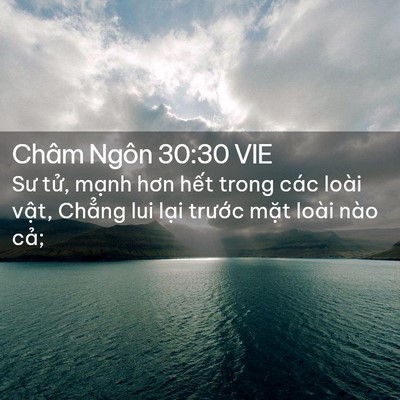 Picture 02 - Châm Ngôn 30:30 VIE - Sư tử, mạnh hơn hết trong các loài - Bible Verse Picture