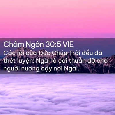 Picture 02 - Châm Ngôn 30:5 VIE - Các lời của Đức Chúa Trời đều đã - Bible Verse Picture