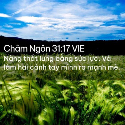 Picture 02 - Châm Ngôn 31:17 VIE - Nàng thắt lưng bằng sức lực, Và làm - Bible Verse Picture
