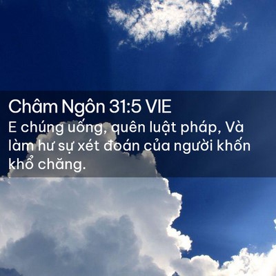 Picture 02 - Châm Ngôn 31:5 VIE - E chúng uống, quên luật pháp, Và làm hư - Bible Verse Picture