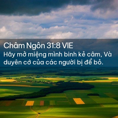 Picture 02 - Châm Ngôn 31:8 VIE - Hãy mở miệng mình binh kẻ câm, Và - Bible Verse Picture