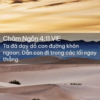 Picture 02 - Châm Ngôn 4:11 VIE - Ta đã dạy dỗ con đường khôn ngoan, - Bible Verse Picture