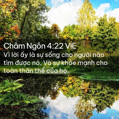 Picture 02 - Châm Ngôn 4:22 VIE - Vì lời ấy là sự sống cho người nào - Bible Verse Picture