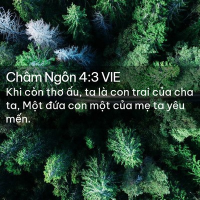 Picture 02 - Châm Ngôn 4:3 VIE - Khi còn thơ ấu, ta là con trai của cha ta, - Bible Verse Picture