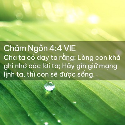 Picture 02 - Châm Ngôn 4:4 VIE - Cha ta có dạy ta rằng: Lòng con khá ghi - Bible Verse Picture