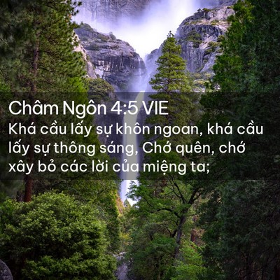 Picture 02 - Châm Ngôn 4:5 VIE - Khá cầu lấy sự khôn ngoan, khá cầu - Bible Verse Picture