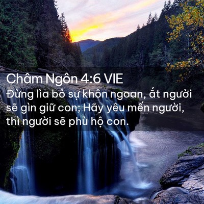 Picture 02 - Châm Ngôn 4:6 VIE - Đừng lìa bỏ sự khôn ngoan, ắt người - Bible Verse Picture