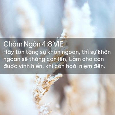Picture 02 - Châm Ngôn 4:8 VIE - Hãy tôn tặng sự khôn ngoan, thì sự - Bible Verse Picture