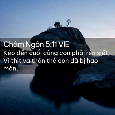 Picture 02 - Châm Ngôn 5:11 VIE - Kẻo đến cuối cùng con phải rên siết, - Bible Verse Picture