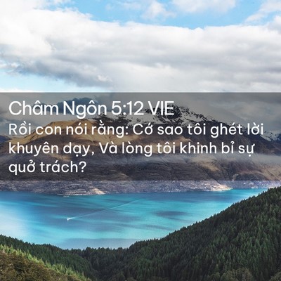 Picture 02 - Châm Ngôn 5:12 VIE - Rồi con nói rằng: Cớ sao tôi ghét lời - Bible Verse Picture