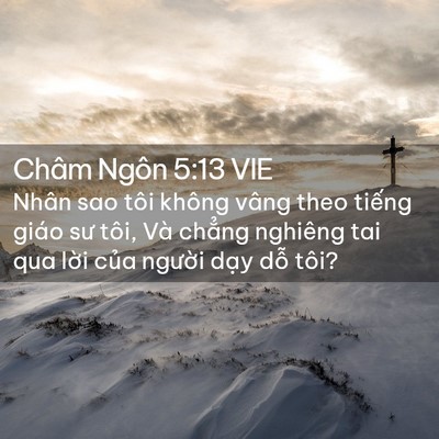 Picture 02 - Châm Ngôn 5:13 VIE - Nhân sao tôi không vâng theo tiếng giáo - Bible Verse Picture