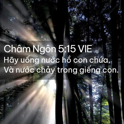 Picture 02 - Châm Ngôn 5:15 VIE - Hãy uống nước hồ con chứa, Và nước - Bible Verse Picture