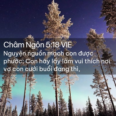 Picture 02 - Châm Ngôn 5:18 VIE - Nguyện nguồn mạch con được phước; - Bible Verse Picture