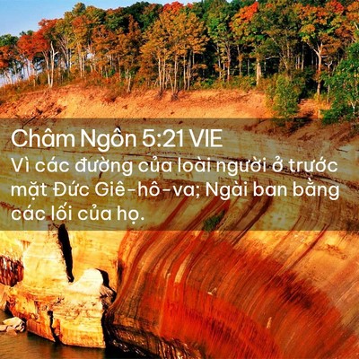 Picture 02 - Châm Ngôn 5:21 VIE - Vì các đường của loài người ở - Bible Verse Picture