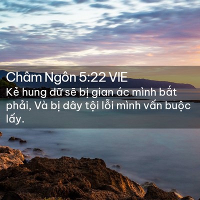 Picture 02 - Châm Ngôn 5:22 VIE - Kẻ hung dữ sẽ bị gian ác mình bắt - Bible Verse Picture