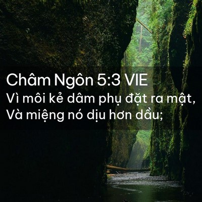 Picture 02 - Châm Ngôn 5:3 VIE - Vì môi kẻ dâm phụ đặt ra mật, Và - Bible Verse Picture
