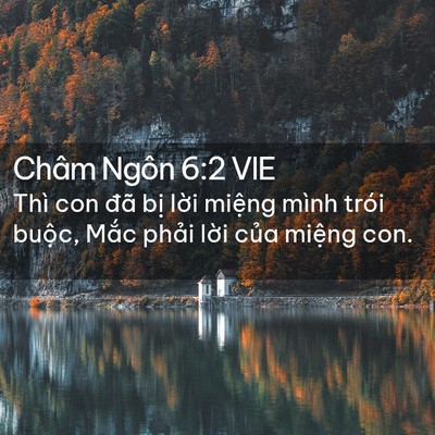 Picture 02 - Châm Ngôn 6:2 VIE - Thì con đã bị lời miệng mình trói - Bible Verse Picture