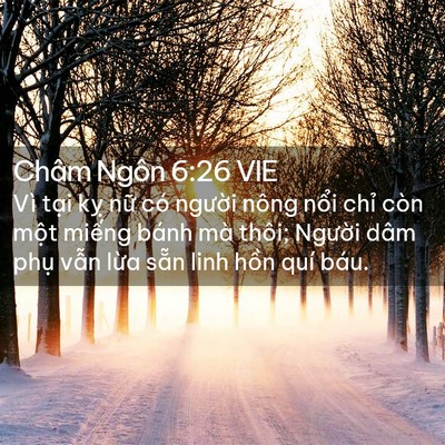 Picture 02 - Châm Ngôn 6:26 VIE - Vì tại kỵ nữ có người nông nổi - Bible Verse Picture