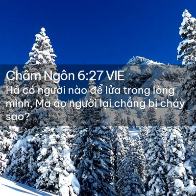Picture 02 - Châm Ngôn 6:27 VIE - Há có người nào để lửa trong lòng - Bible Verse Picture