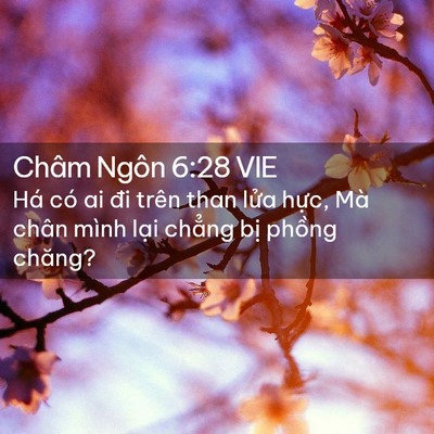 Picture 02 - Châm Ngôn 6:28 VIE - Há có ai đi trên than lửa hực, Mà chân - Bible Verse Picture