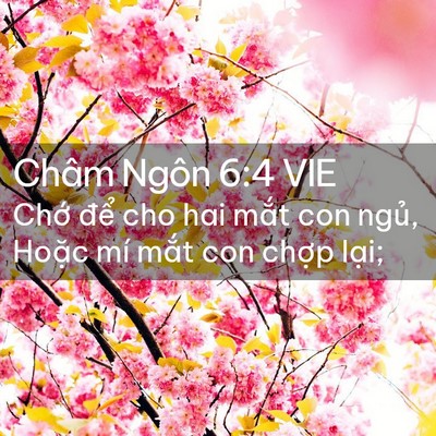 Picture 02 - Châm Ngôn 6:4 VIE - Chớ để cho hai mắt con ngủ, Hoặc mí - Bible Verse Picture