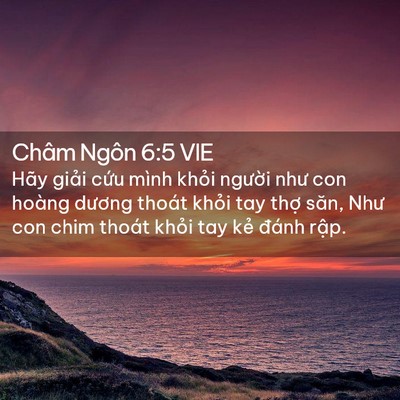 Picture 02 - Châm Ngôn 6:5 VIE - Hãy giải cứu mình khỏi người như con - Bible Verse Picture