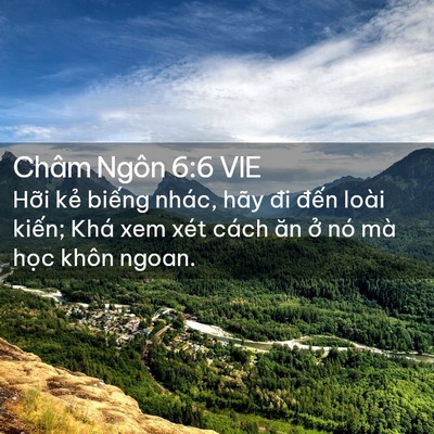Picture 02 - Châm Ngôn 6:6 VIE - Hỡi kẻ biếng nhác, hãy đi đến loài - Bible Verse Picture