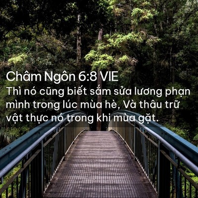 Picture 02 - Châm Ngôn 6:8 VIE - Thì nó cũng biết sắm sửa lương phạn - Bible Verse Picture