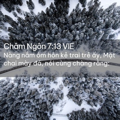Picture 02 - Châm Ngôn 7:13 VIE - Nàng nắm ôm hôn kẻ trai trẻ ấy, Mặt - Bible Verse Picture