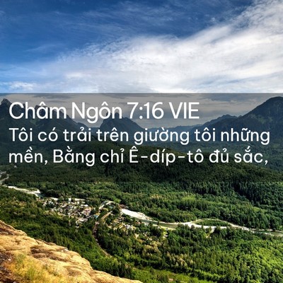 Picture 02 - Châm Ngôn 7:16 VIE - Tôi có trải trên giường tôi những - Bible Verse Picture