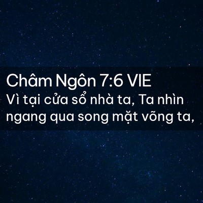Picture 02 - Châm Ngôn 7:6 VIE - Vì tại cửa sổ nhà ta, Ta nhìn ngang qua - Bible Verse Picture