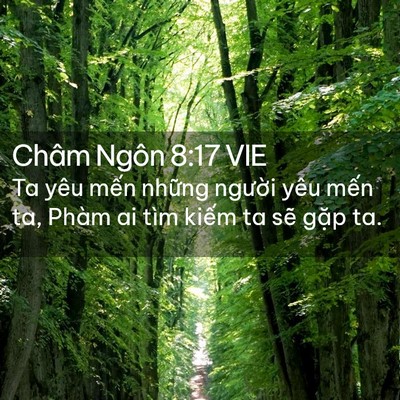 Picture 02 - Châm Ngôn 8:17 VIE - Ta yêu mến những người yêu mến ta, - Bible Verse Picture
