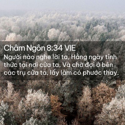 Picture 02 - Châm Ngôn 8:34 VIE - Người nào nghe lời ta, Hằng ngày tỉnh - Bible Verse Picture