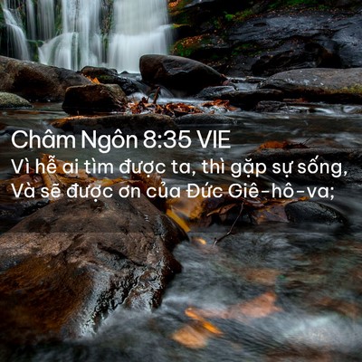 Picture 02 - Châm Ngôn 8:35 VIE - Vì hễ ai tìm được ta, thì gặp sự - Bible Verse Picture