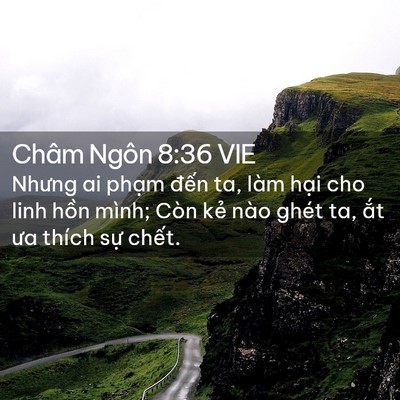 Picture 02 - Châm Ngôn 8:36 VIE - Nhưng ai phạm đến ta, làm hại cho linh - Bible Verse Picture
